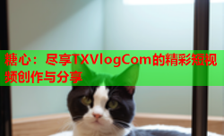 糖心：尽享TXVlogCom的精彩短视频创作与分享