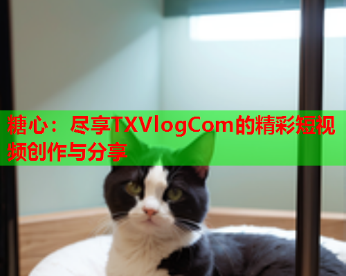 糖心：尽享TXVlogCom的精彩短视频创作与分享  第1张