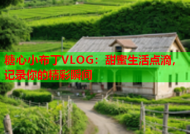 糖心小布丁VLOG：甜蜜生活点滴，记录你的精彩瞬间