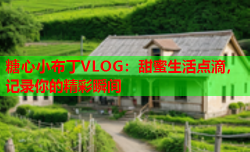 糖心小布丁VLOG：甜蜜生活点滴，记录你的精彩瞬间