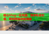 糖心Vlog一区精品：独享私密影像，即刻释放你的渴望