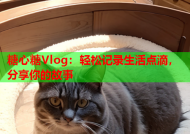 糖心糖Vlog：轻松记录生活点滴，分享你的故事