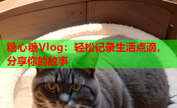 糖心糖Vlog：轻松记录生活点滴，分享你的故事