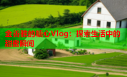 金善雅的糖心Vlog：探索生活中的甜蜜瞬间