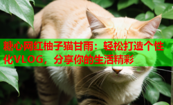 糖心网红柚子猫甘雨：轻松打造个性化VLOG，分享你的生活精彩