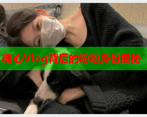 糖心Vlog背后的粉粉身份揭秘  第2张