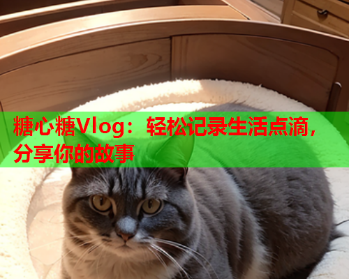 糖心糖Vlog：轻松记录生活点滴，分享你的故事  第1张